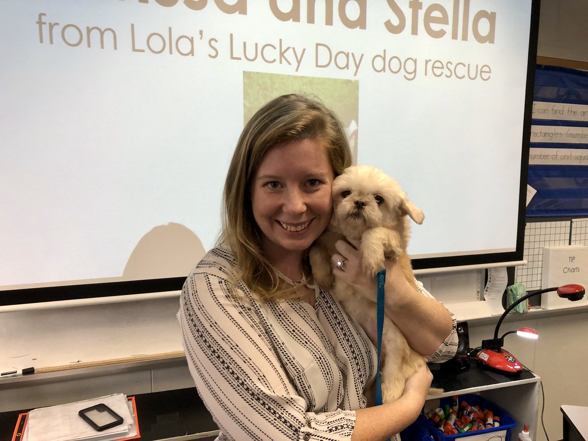 HicksLeaders's tweet photo. B.A.R.K. Club was visited today by a special furry friend, Stella. Her foster mom shared her rescue story with us and we learned basic grooming tips for pets. @BayEaglesSoar https://t.co/vf4PPT36z6