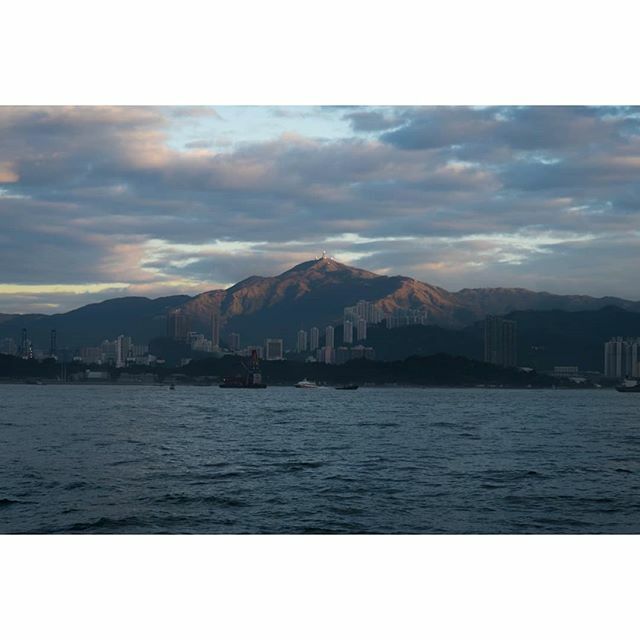 NovProjectHongKong tweet media