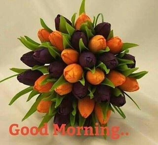 ranigill7's tweet photo. GOOD GOOD MORNING #FB FRIENDS🌹 #HappyMORNING ☀️🌹🌻☀️#PARAMJIT G , DR MANIK ,RUBY #PRAMOD JI #PARVEEN G ,HAPPY AND TIMPY ALI SANDHU, SUHANI ,ASHRAF G SHASTRY &amp;ALL @bluvd18 @RubyKha09925269 @Pinkysmile24 @123toabc @abct0xyz @sagheer_usmani @anuragbindal2 https://t.co/C5BaUyiDgM