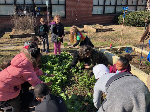 GenGreeneGators's tweet photo. Our students work hard while learning in our school garden. Now, they are giving back to the Greensboro Urban Ministries! π₯¬ #gatorsgivingback https://t.co/Wjz6FBDbiy