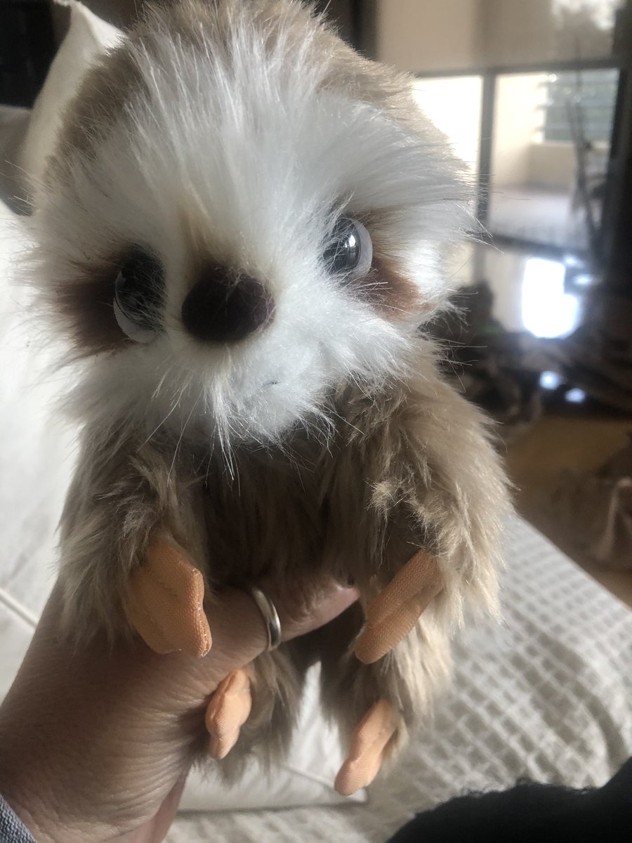 lndeutsch's tweet image. Look what arrived today! @scitechyEDU @Learn21Tech @christybrenn @WickedDecent @mpowers3 @LindseyOwn @mindyahrens1 @msjlura @drchagala @kalebrashad #ThePowerOfWhy #5Whys #Empathy #Empathy2Action #dtk12chat