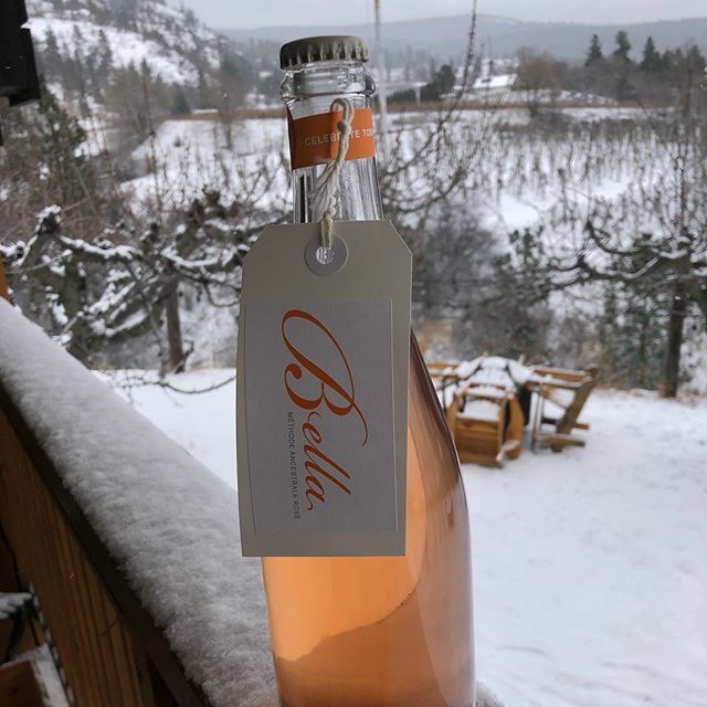 To help warm your soul with happiness, we are proud to release our sparkling #gamay #petnat from Mariani Vineyard here in Naramata.  This is clone 787 that only spent a few hours with the skins to give it that peach hue.  We only made 750 bottles this ye… ift.tt/36TA5k0