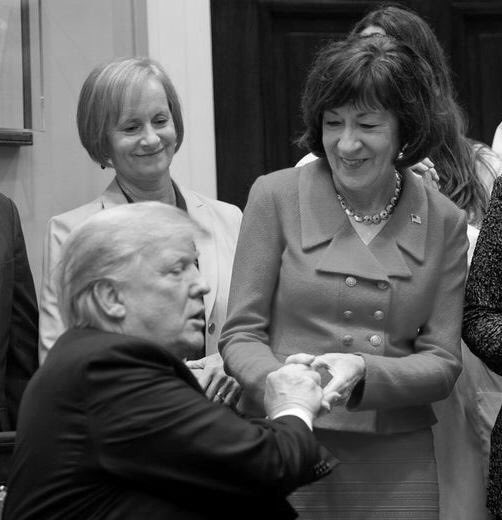 BruceBourgoine's tweet image. Every single high crime and abuse of power @realDonaldTrump commits going forward directly implicates @SenatorCollins as an accomplice. 

#resist #VoteBlue2020 #DefeatCollins #MESen #mepolitics