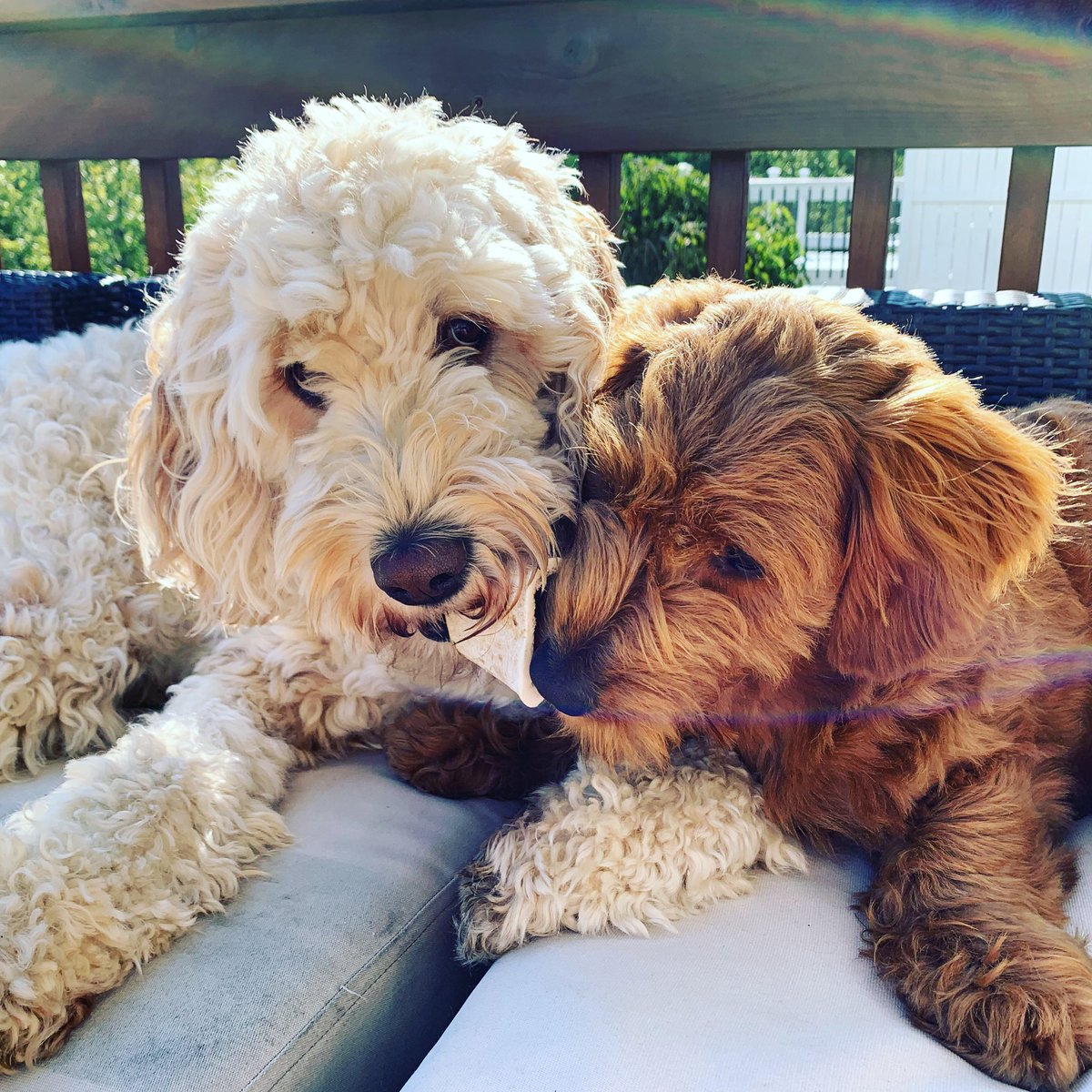 HessJenny's tweet photo. @T_Real25 #doods https://t.co/AEHk9qmjKe