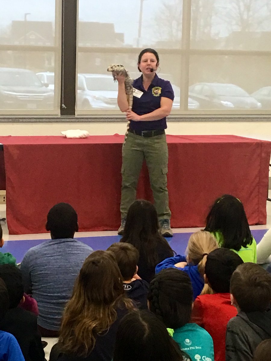 MsDischGPE's tweet photo. We have launched our next PBL! Thank you @ReptilesAlive for a fantastic show! DQ: How can we, as Goshen Post students, create a local zoo that meets the needs of animals? #GoGPGators https://t.co/ssoOXOTXyP