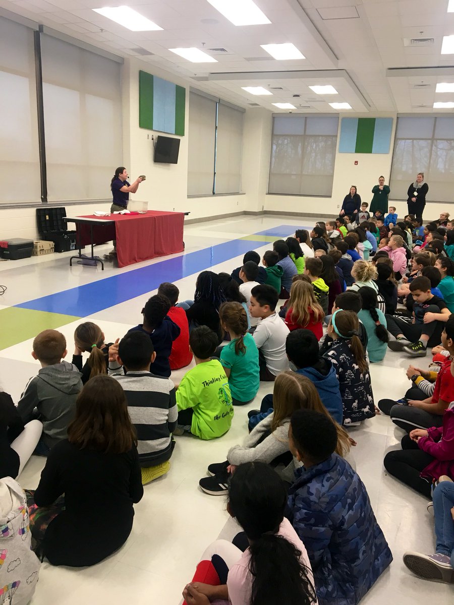 MsDischGPE's tweet photo. We have launched our next PBL! Thank you @ReptilesAlive for a fantastic show! DQ: How can we, as Goshen Post students, create a local zoo that meets the needs of animals? #GoGPGators https://t.co/ssoOXOTXyP