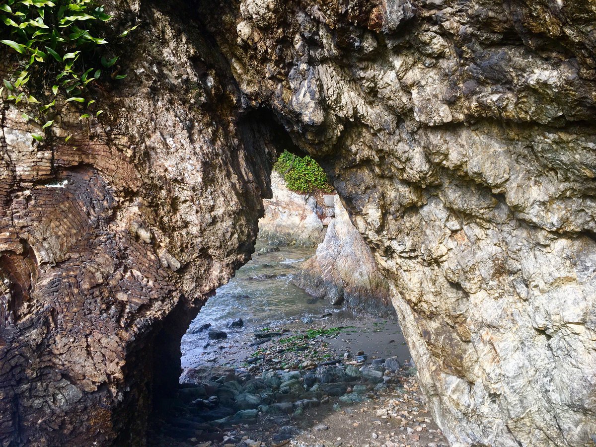 先週末 久々に金磯海岸や弁財天を散策。ここは色々盛りだくさん🌲🐧🌊鳥の声や木々のざわめき、磯の香りに波の音…    義経や空海ゆかりの地だけれど訪れる人は少なく…それが良い😊