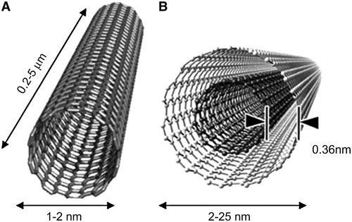 Review

'#Nanotechnology in textile & apparel research – an overview of technologies & processes'

The Journal of The Textile Institute

#nanoparticles #nanofibers #NanoEnhancedTextiles #CarbonNanotubes  #Nanoclay #MetalNanoparticles #BioNanomaterial

doi.org/10.1080/004050…