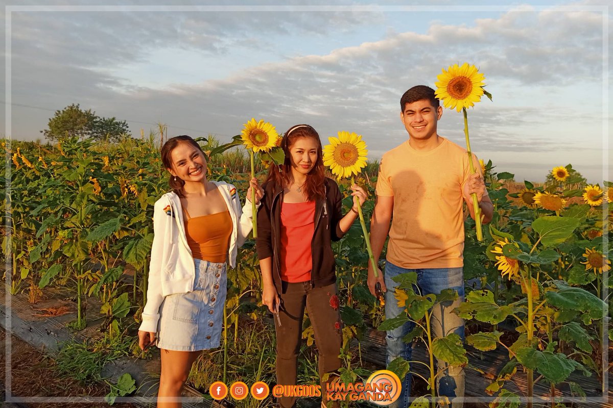 ukgdos's tweet photo. Flower power! 🌻🌹💐 May dating place suggestion sa atin sina #UKGSquad Roxy, Martin, and Pat! 'Yan ang dinayo nilang flower farm sa Tarlac City! 😍🧡 https://t.co/UfJBAUTLRK