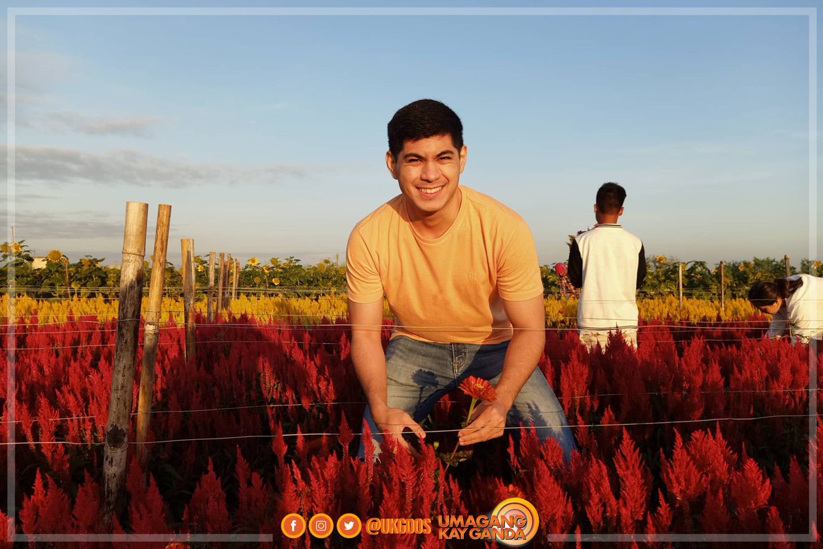 ukgdos's tweet photo. Flower power! 🌻🌹💐 May dating place suggestion sa atin sina #UKGSquad Roxy, Martin, and Pat! 'Yan ang dinayo nilang flower farm sa Tarlac City! 😍🧡 https://t.co/UfJBAUTLRK