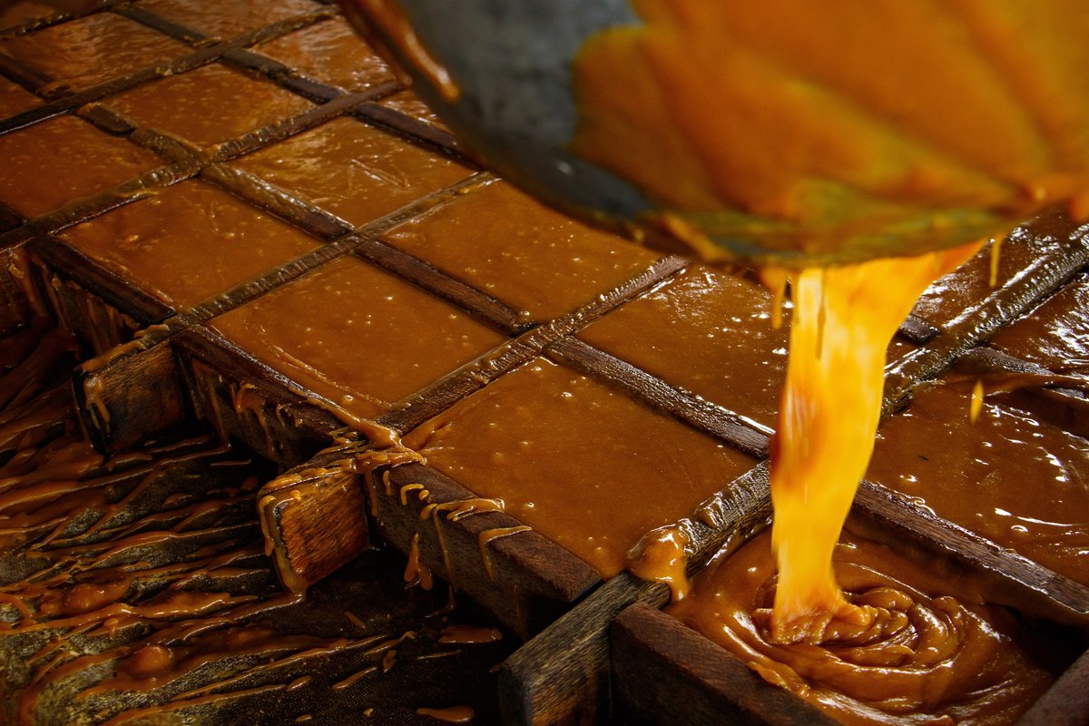 Todo sobre la panela, sus avances con Gobierno y productores y deliciosas recetas, en Tierra Querida Magazine. Leélo aquí: tierraquerida.com.co/la-panela-ingr…