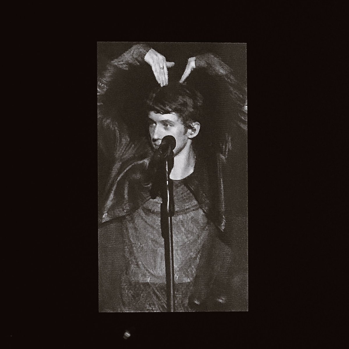 TayaFang's tweet photo. @troyesivan i love you troye https://t.co/8dnVX1Veez