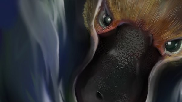 ribbonotes's tweet photo. Here’s a teaser of a wonderful project that I’m honored to be apart since all the proceeds will be donated to Australian Bushfire Relief Charity. Share the upcoming @dms_guild #WisdomUnderFire #WombatRescuersProject https://t.co/V8gCjM1Haj