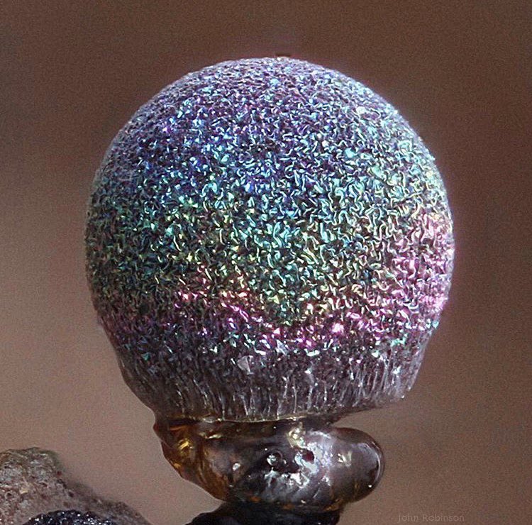 Sun͓̽ya ゼロ tweet media