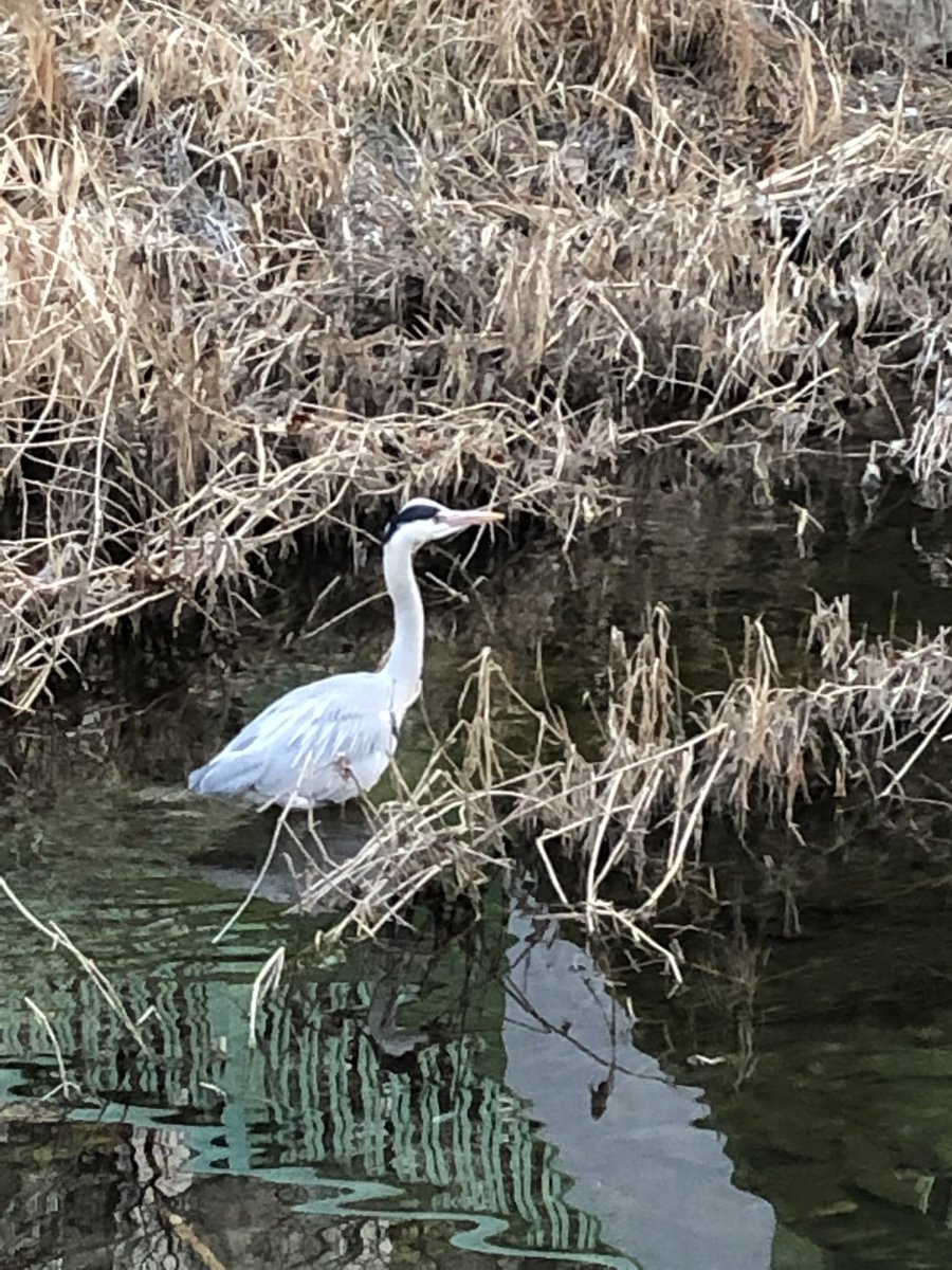 whisper (@namyeob12171012) on Twitter photo 