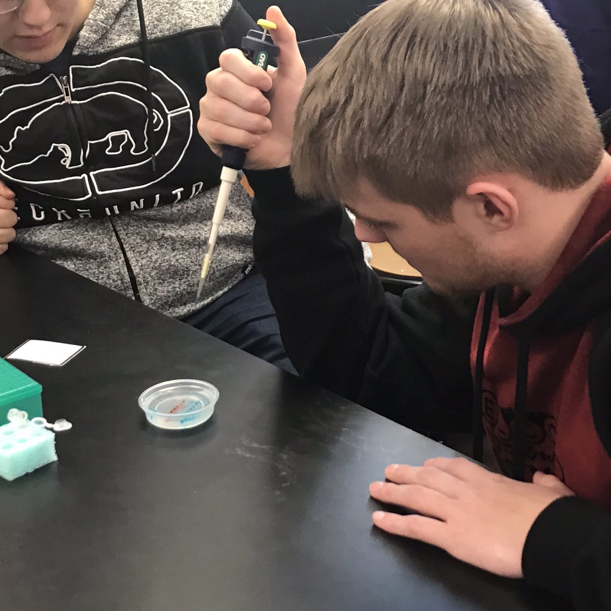 Science_Larson's tweet photo. AP Bio students in 6/7 period practicing their micropipetting and gel loading skills with our @MiniOneSystem practice minilab. We are reading for Thursday’s electrophoresis lab! #ThisIsHowWeAP #APBio_WHS @BulldogLife_WHS https://t.co/87pad2vaLV
