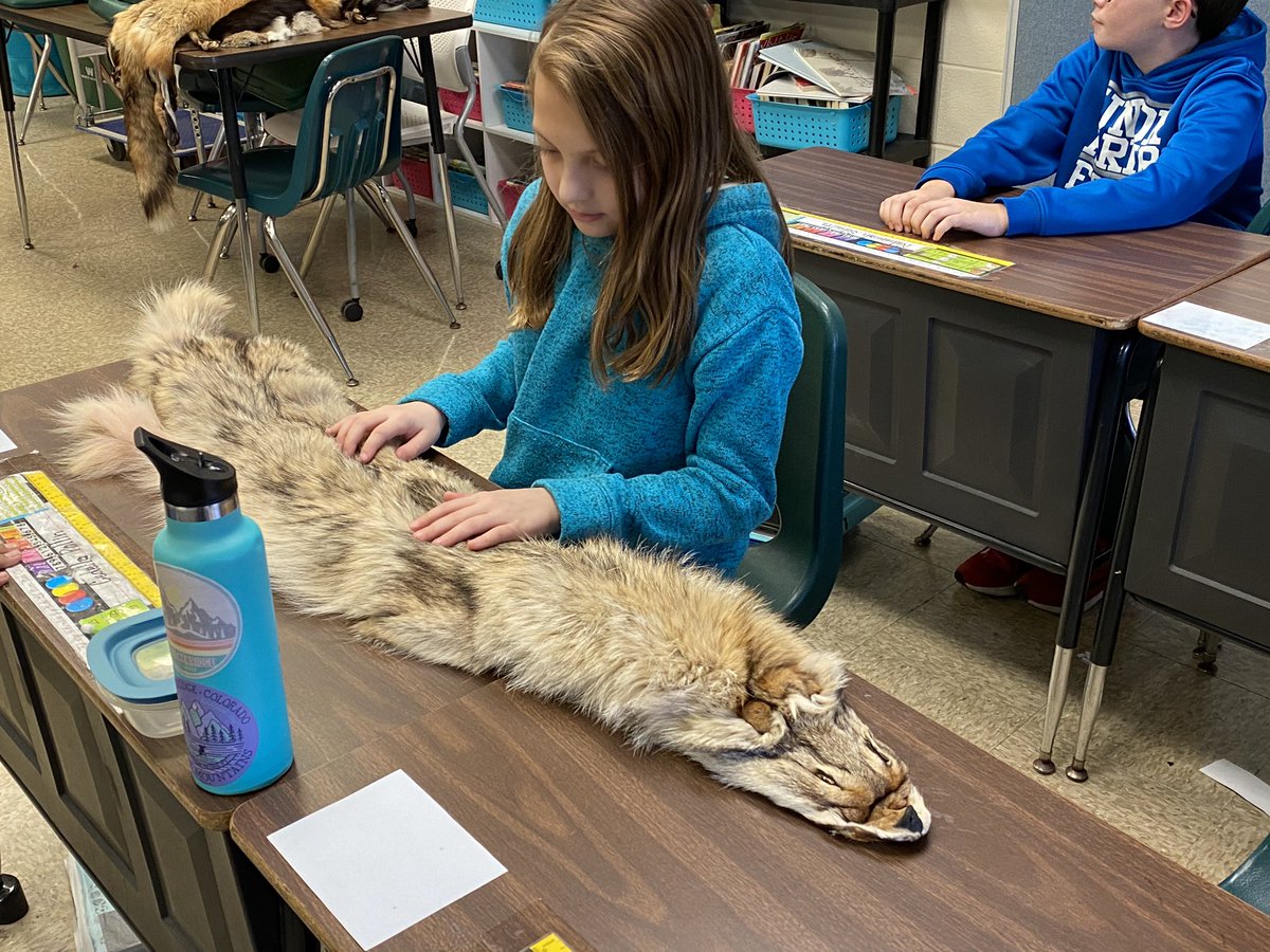 kimweldon5's tweet photo. Thank you Mary for teaching us all about animal adaptations! #ccs118life #d118life #5weldon #DiscoverMCCD https://t.co/AXYg2rvejQ
