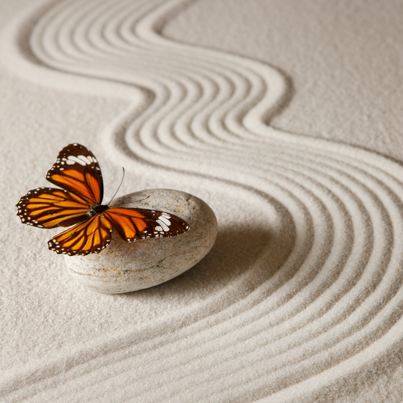 OneSoberGypsy's tweet photo. Don't quit 5 minutes before the miracle happens. π¦ππ» #365sober #soberliving #AA #NA #serenity #alocholicsanonymous #serenity #recoverychips #soberlife #livingsober365 #reasonstostaysober https://t.co/Y8qSC4WmlH
