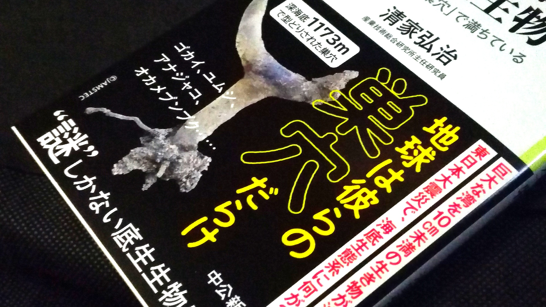 中央公論新社 電子書籍 در توییتر 海底の支配者 底生生物 世界は 巣穴 で満ちている 清家弘治 0円 海底は地球の2 3だ そのほぼ全てに穴を掘り 潜む ゴカイ等 底生生物 水深1000m超の巣穴に樹脂を流し込んで判明した事実とは ユーモラスな底生生物の生態と