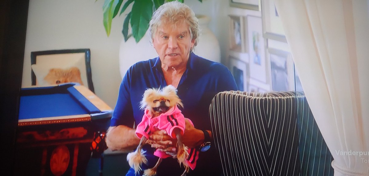 Ken Todd gingerly holding a ridiculous little dog, maybe Harrison? who's wearing a hotpink Adidas track suit, like a hot potato in front of him