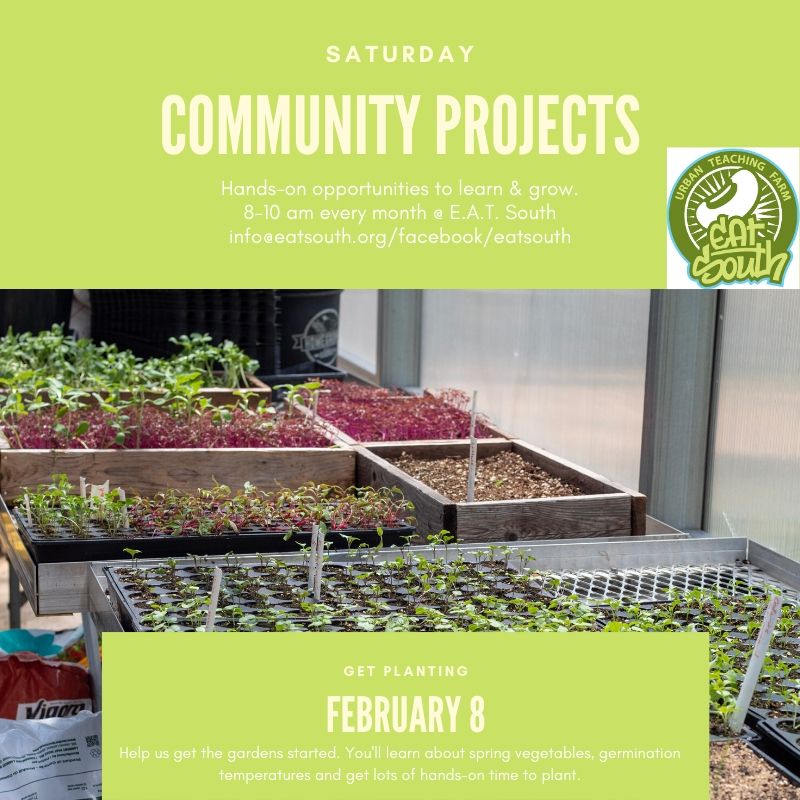 All about seeds this Saturday at E.A.T. South. Fun starts at 8 am.