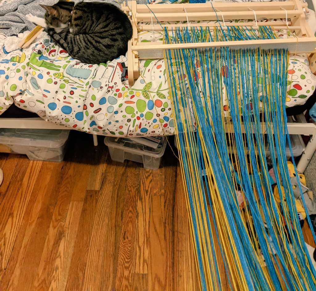 thebalancedsett's tweet photo. my cat being a peaceful spectator. still fixing warp... https://t.co/pMyUFV2E1F