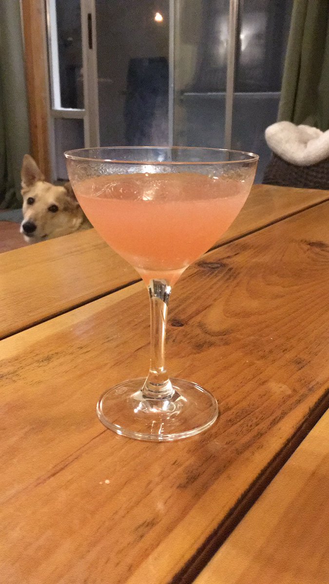 EKruegerWrites's tweet photo. Snowy day. Long day. First day of the #longtermsubbing job I took on. Game on from now until May 29th. Hubby met me at the door with this gorgeous Bohemian/Frenchie cocktail. #teaching #cocktailtherapy #timetorelax #gradingcanwait https://t.co/4uwqFn8rFk