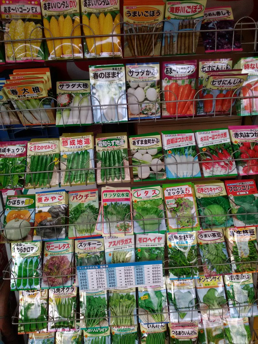 春蒔きの種 春蒔きの種