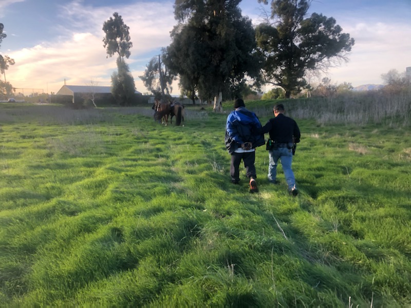 The mounted platoon was called upon to address a growing homeless problem in the Balboa Wetlands.  The horses loved the change in venue.