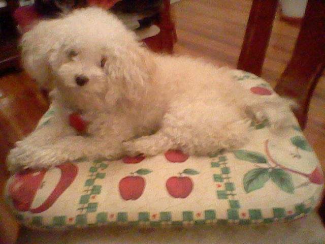 _willyhernandez's tweet photo. 2006-2020 
I never stopped loving you 💔 https://t.co/nQwVYcYDUY