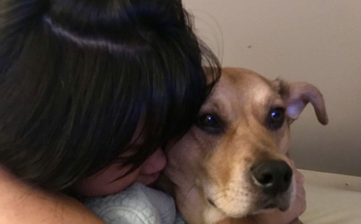 BaliTomato's tweet photo. I pretended I didn’t enjoy mom’s kisses 🐶🍅#snobb https://t.co/HGkt4sY78E