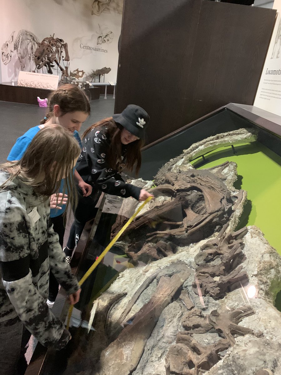 StMaryECSRD's tweet photo. Some pictures from dinomechanics and fossil casting this evening at @RoyalTyrrell #ECSRD https://t.co/93vhVB4Si2