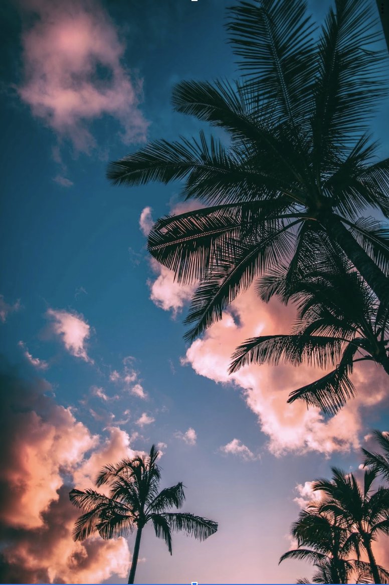 What's not to love about living in Los Angeles!? Even the city is filled with palm tress and stunning sunsets.
Tweet us what you love most!
#MadeInLA #wetswimwear #WET #redefiningsexy #swimwear #luxuryswimwear #palmtrees #ilovelosangeles