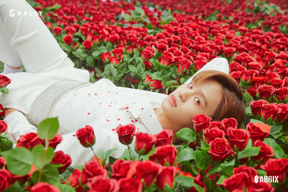 AB6IX's tweet image. [#AB6IX] AB6IX DIGITAL EP [5NALLY] CONCEPT PHOTO #3 이대휘 (LEE DAE HWI)

#5NALLY #에이비식스 #임영민 #전웅 #김동현 #박우진 #이대휘 #브랜뉴뮤직 #BRANDNEWMUSIC