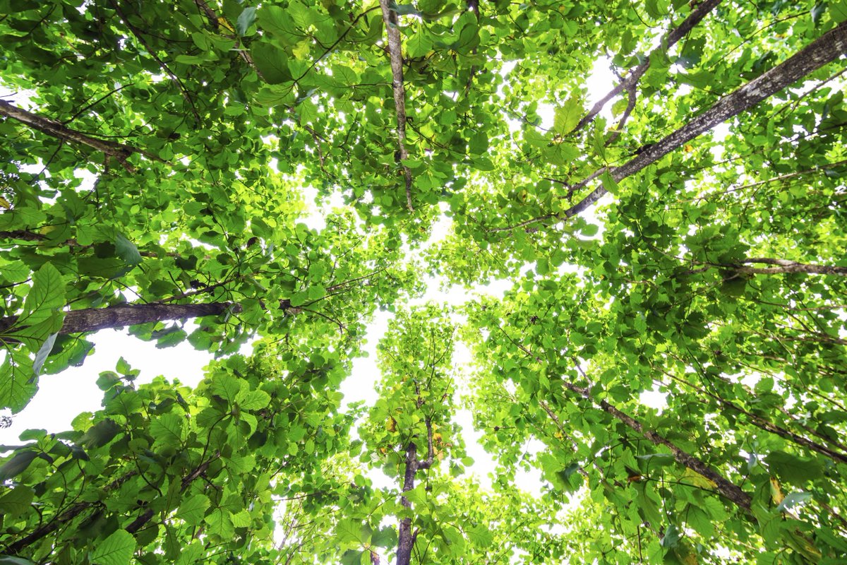 HighRiseComms's tweet image. We have recently began working with The Path – the first financial advisors set up specifically to help tackle the climate crisis. Read more about what they are trying to achieve here 🌱⤵️

#PR #reputationalmanagement

 ftadviser.com/investments/20…