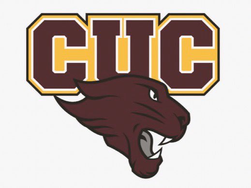 CaronAndersonJr's tweet photo. It is time for my future to become my present. It is with great honor and humbleness to announce that I will be furthering my academics and my athletics at Concordia University Chicago. 100% Committed @CoachWatkinsCUC @CUCFBFamily @MiltonEagles_FB @gasdigitalprod #Committed https://t.co/5mUTj9x1Va