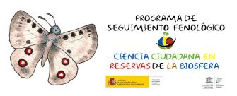 El "Programa de Seguimiento #Fenológico de la Red Española de #ReservasDeLaBiosfera" es, en primer lugar, un proyecto educativo de ciencia ciudadana dirigido a estudiantes, educadores, naturalistas, científicos y cualquier persona interesada. <a href="/UNESCO_MAB/">UNESCO Biodiversity</a> bit.ly/37ncPMj