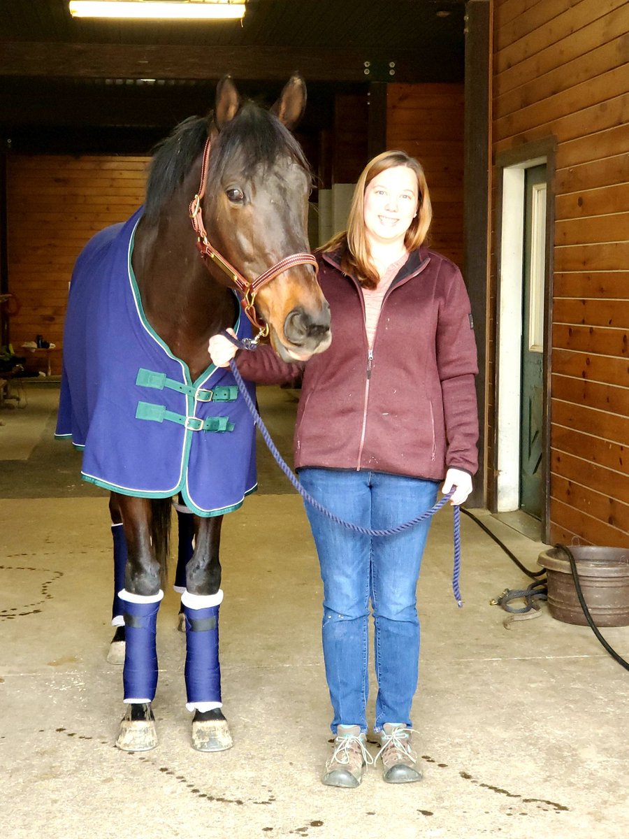 Our boy Crossways was adopted this past weekend. Here is pic of him leaving with his new owner. He was a special horse to me @StritsmanLucas Lisa Malloy at ReRun @lisaky72 does an amazing job with our retired athletes. Ny racing be proud of our aftercare facilities like ReRun.