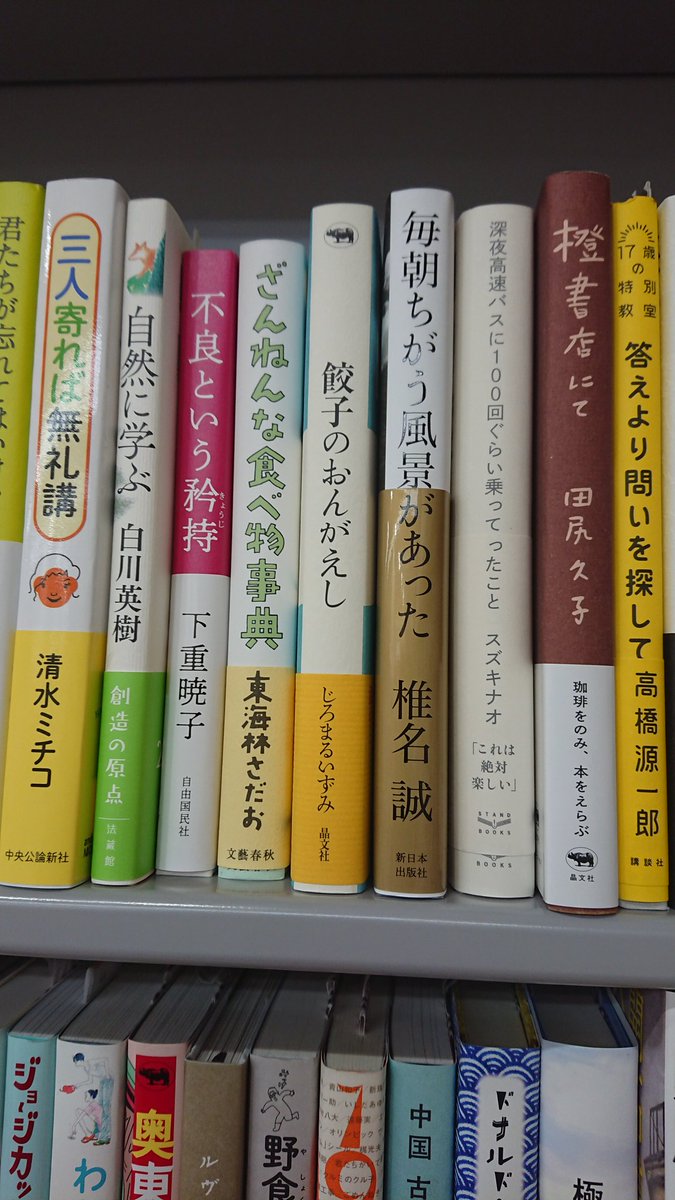 magicpman's tweet image. オペラシティのくまざわ書店さんに鎮座していたので、思わずゲット！