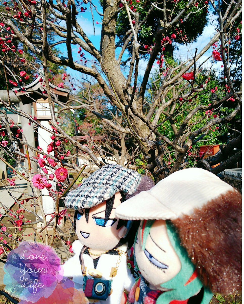 (ㅍ▽ㅍ)福の神から豆を貰ってやったぞ、巻ちゃん!梅が綺麗だな巻ちゃん、梅はいい香りだが、巻ちゃんもいい香りだな…(春の芽生え) 