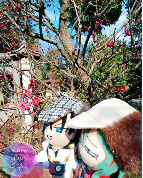 (ㅍ▽ㅍ)福の神から豆を貰ってやったぞ、巻ちゃん!梅が綺麗だな巻ちゃん、梅はいい香りだが、巻ちゃんもいい香りだな…(春の芽生え) 
