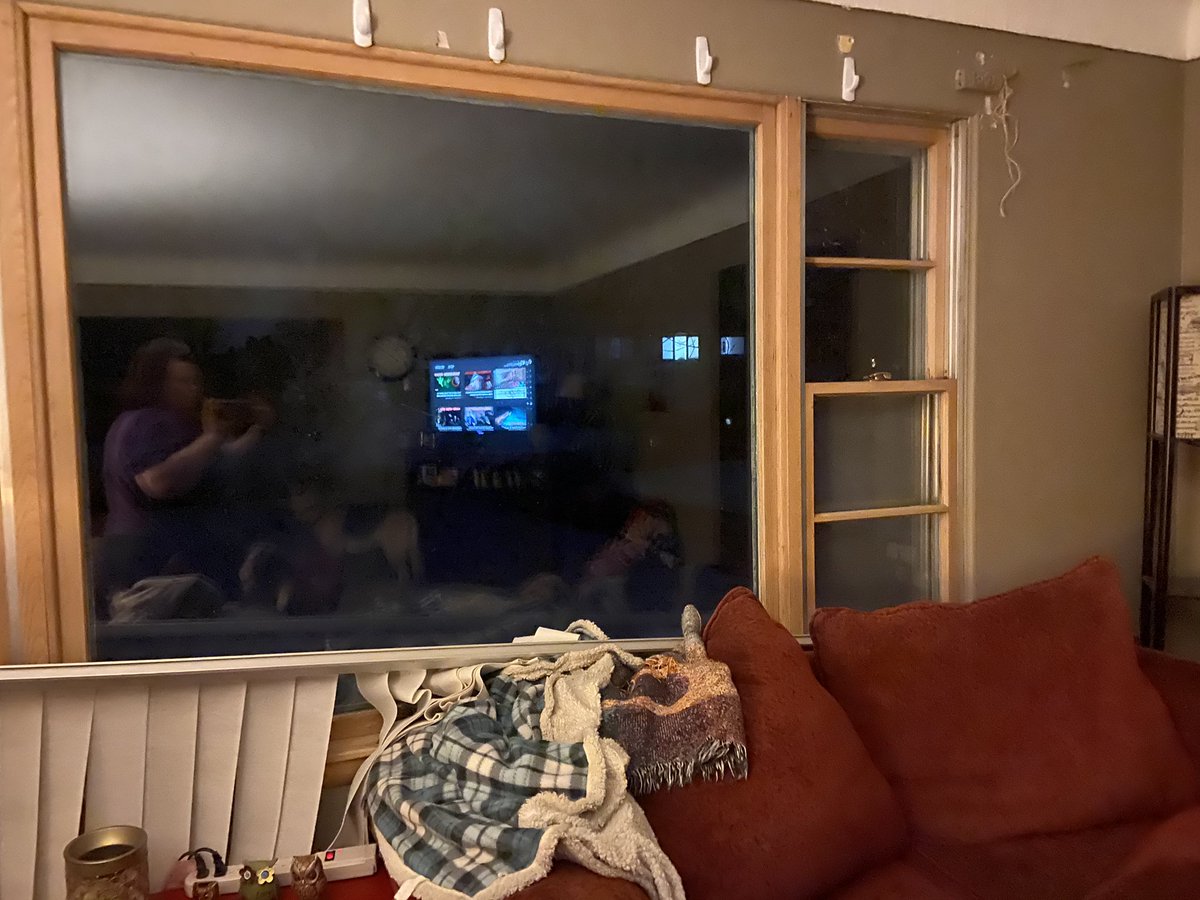 JenWitte1's tweet image. Was watching @MoeSargi sleeping in an abandoned house when out of nowhere my vertical blinds fall. Terrified me!