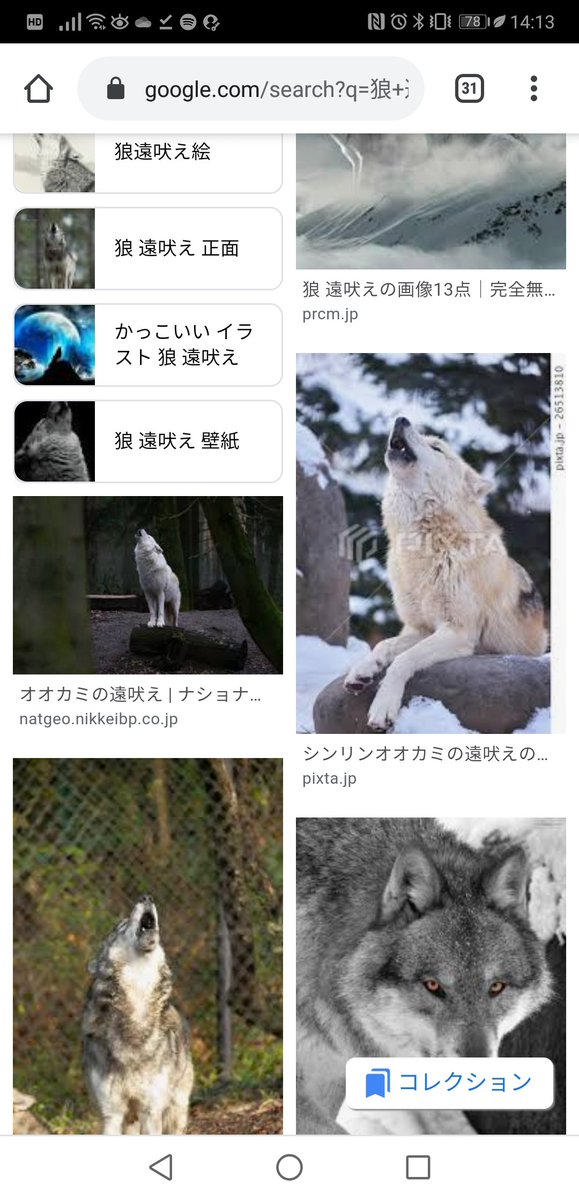 ょぅ えっなにっなんだあっ 試しに 狼 遠吠え でググったら 3スクロールくらいで出てきたんだ ょぅ えっなにっなんだあっ 試しに 狼 遠吠え でググったら 3スクロールくらいで出てきたんだ