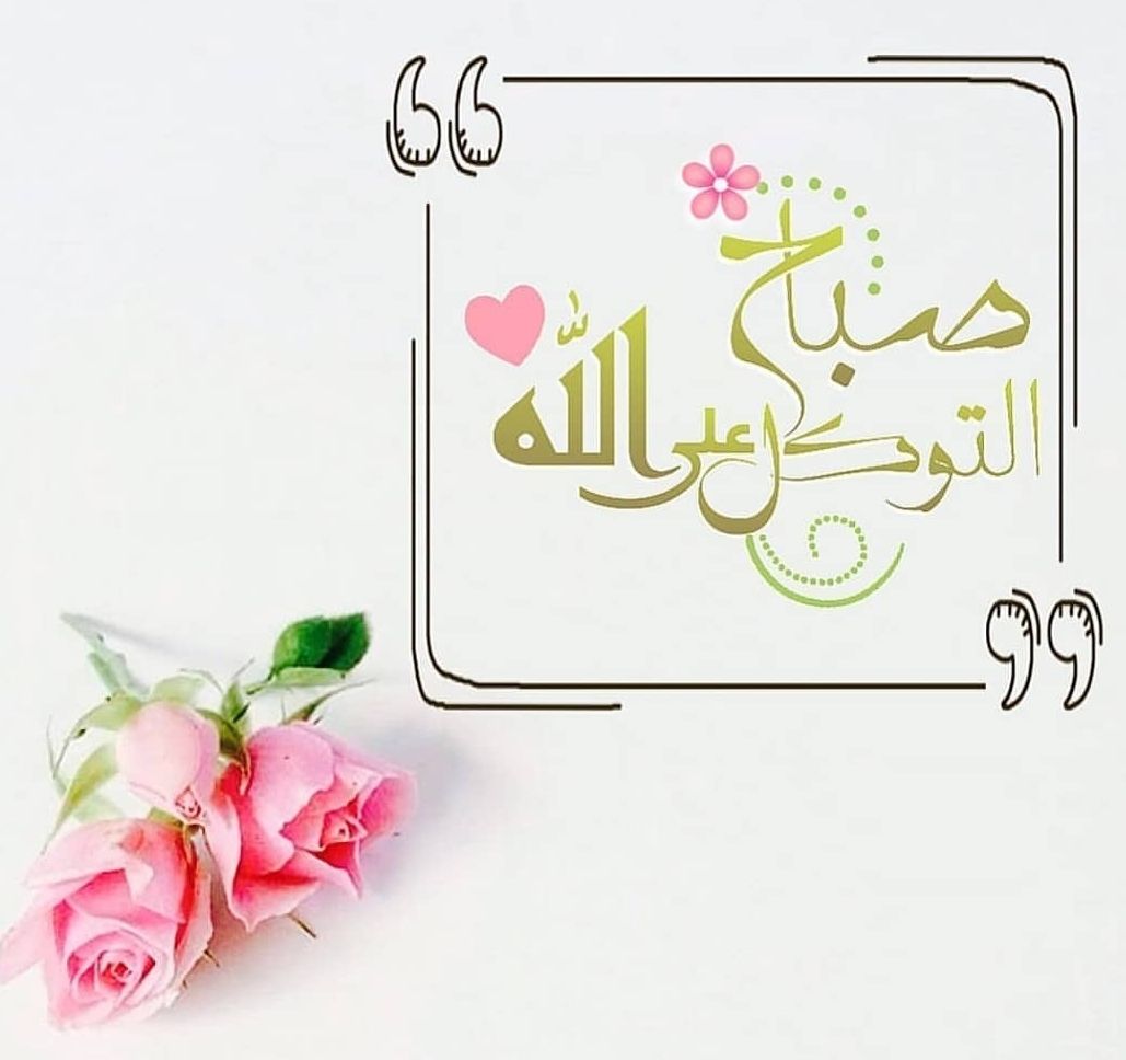 urelo9's tweet photo. #داعم_للخير 
اللهم حصن قلوبنا من هموم الدُنيا واوجاعها وافتح علينا ابواب الفرح والتوفيق من حيث لا نحتسب.

صباح الخير https://t.co/5XNM0sa1Qn