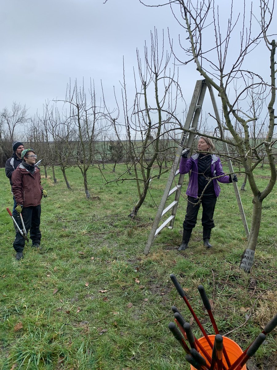 As the seed orders are getting ready, our students and professors from Sustainable Agriculture program got back to KPU Orchard and started with the tree pruning practice! Unexpectedly warm weather welcomed us, making the experience even more fun.