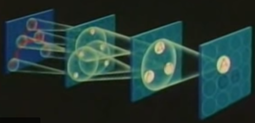 jeremyphoward's tweet image. Reminder: the neocognitron was published in 1979!