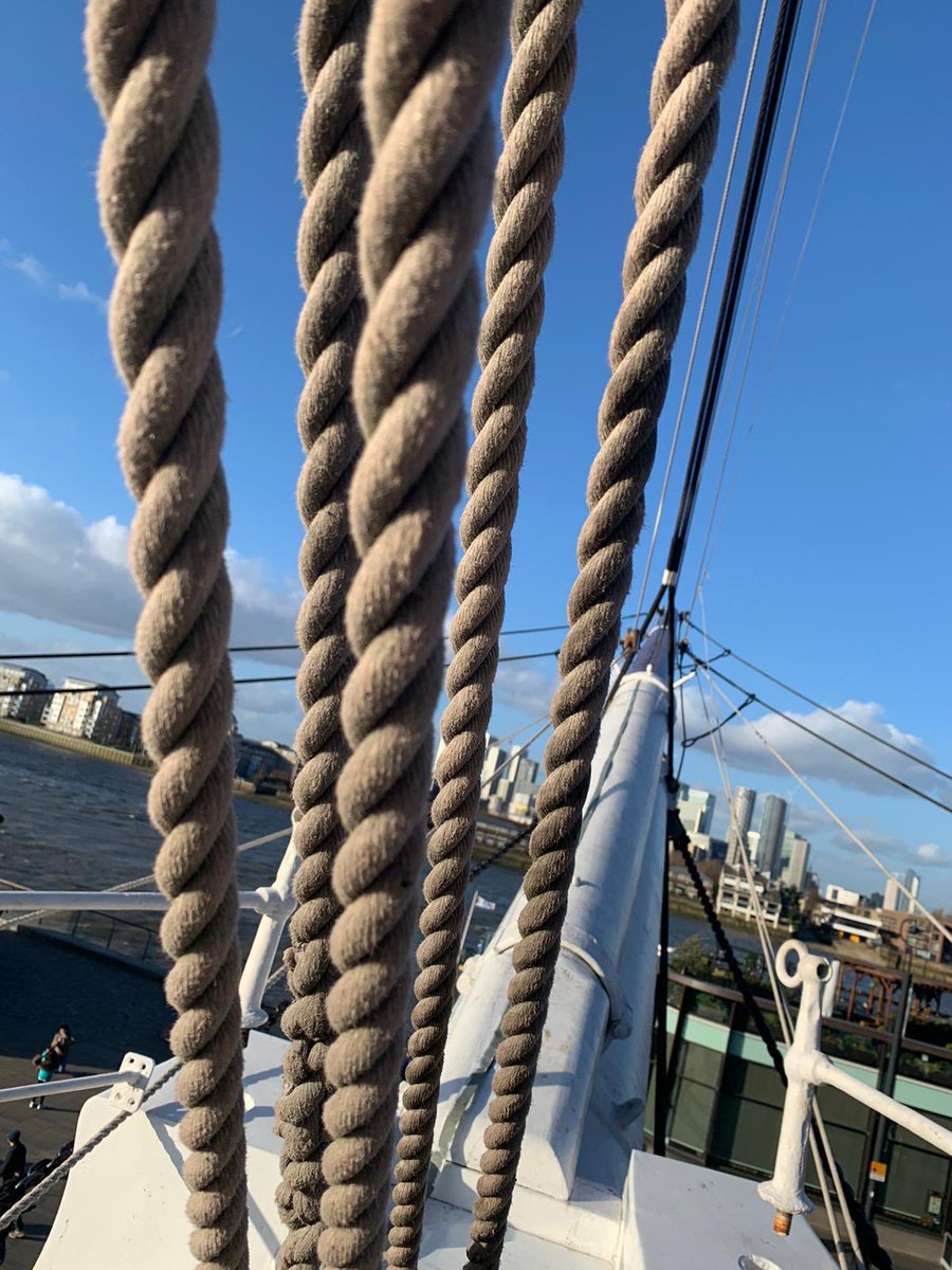 Maggie Wilson tweet media