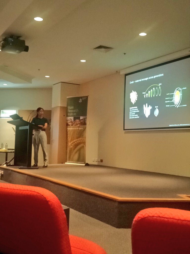 PNgsabrina's tweet photo. Beautiful introductory slides by Xiaojun Yang @FoodUniAdelaide on ovule development in barley 🌾 @PlantSexDU https://t.co/q8cxhQrsBn