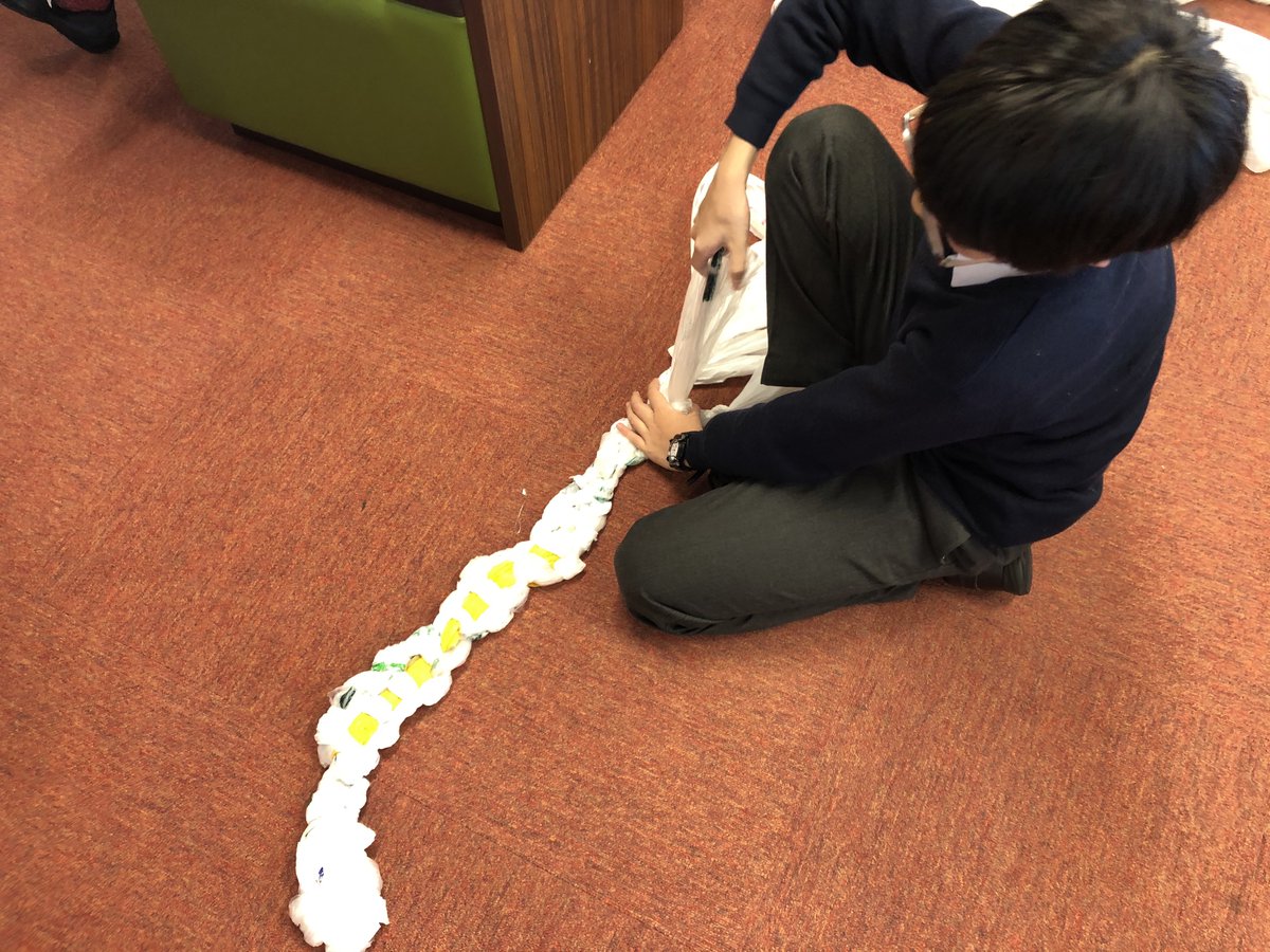 smistitanslc's tweet photo. From bags to mats.  Gr. 6 students are weaving plastic bags into mats.  We hope to donate them to the homeless for sleeping.  This is just the beginning we'll keep you up to date on our progress. https://t.co/HW0Adf4ZB3