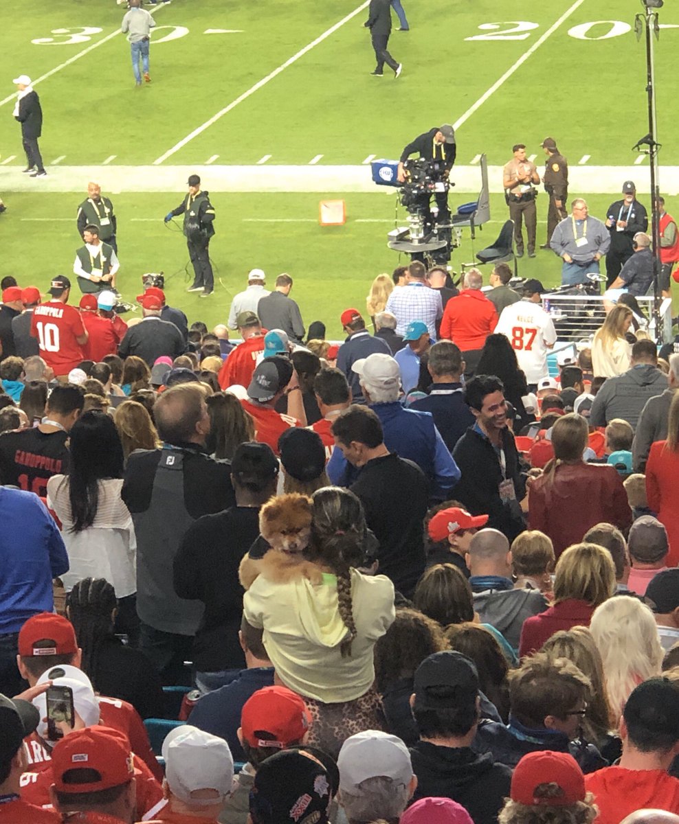 Super Bowl LIV dog #SBLIV #NFL (did that dog need a ticket?)